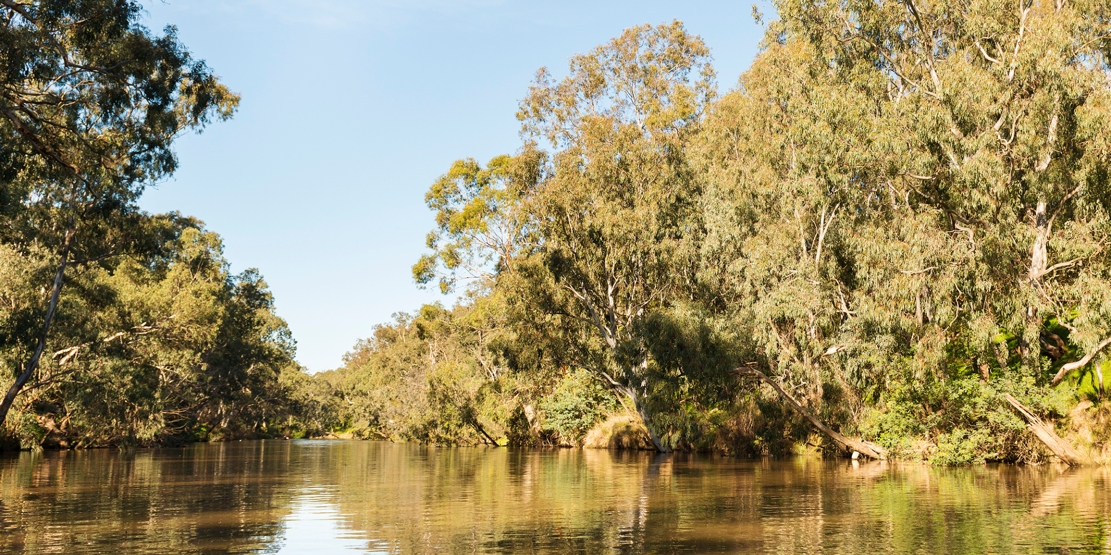 Melbourne: Cultural Safety Workshop - SOLD OUT